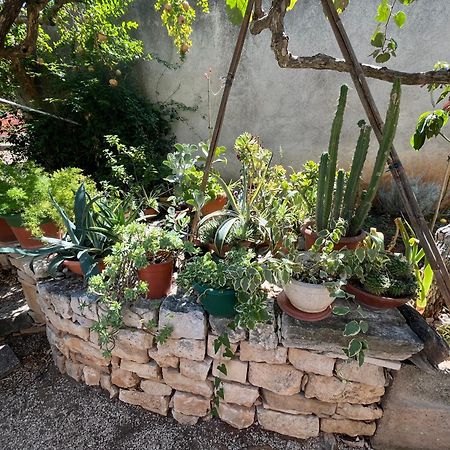 Apartman Mladenka سوبيتار المظهر الخارجي الصورة